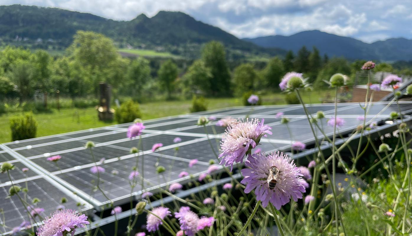 Sonnenenergie