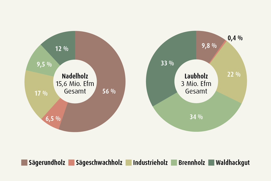 Verteilung des Holzeinschlages