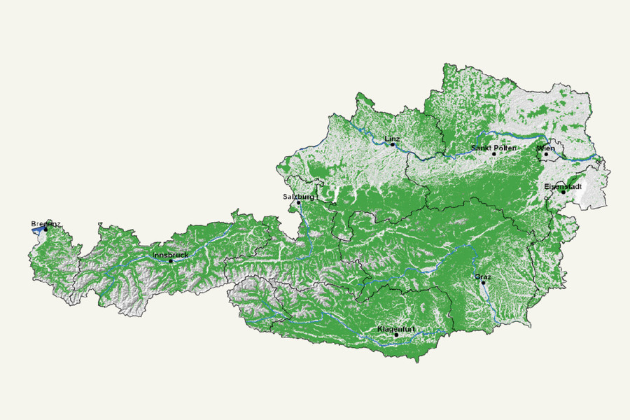 48 % der Fläche Österreichs sind mit Wald bedeckt