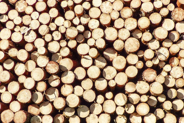 Holzheizungen nutzen den regional verfügbaren, nachwachsenden Brennstoff Holz als klimafreundliche Alternative zu Öl- oder Gasheizungen.