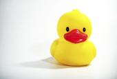 Eine gelbe Ente