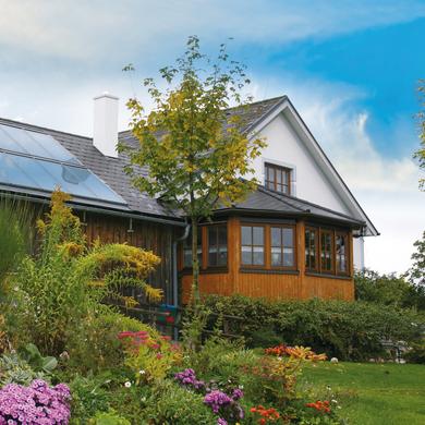 Solare Energie gibt's gratis