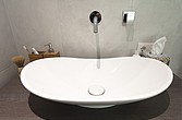 Organisches Waschbecken im Bad
