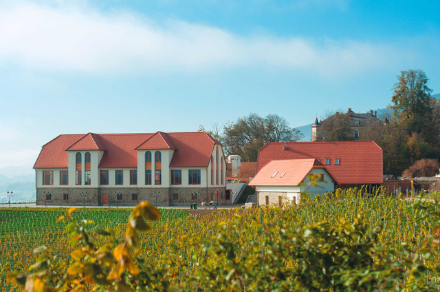 Hackgutheizung - Burg Taggenbrunn