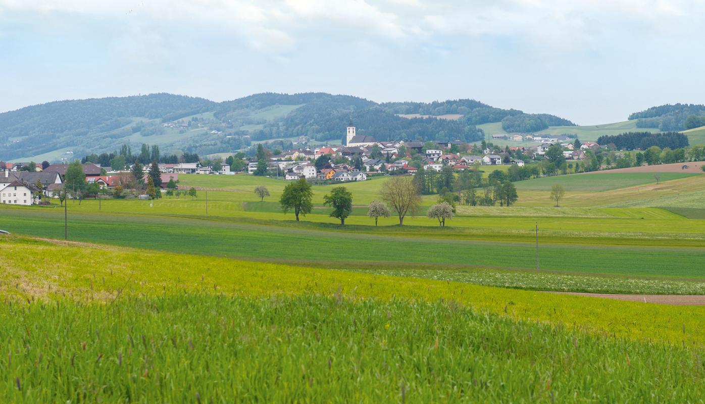 Kontakt